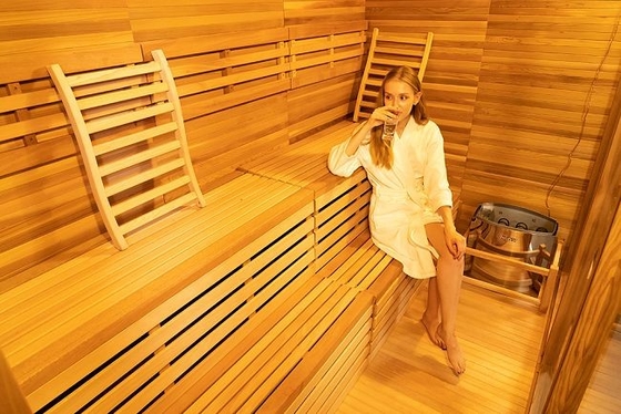 OEM &amp; ODM Sauna Kering Luar Kayu Dengan Kompor Listrik 9KW
